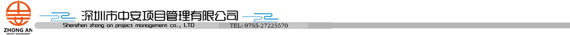 中安公司标志logo