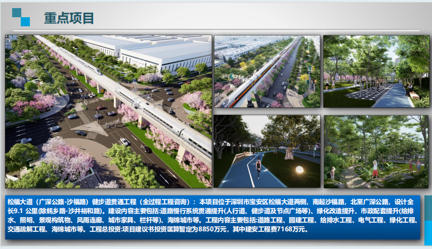 松福大道(广深公路-沙福路)-工程咨询案例